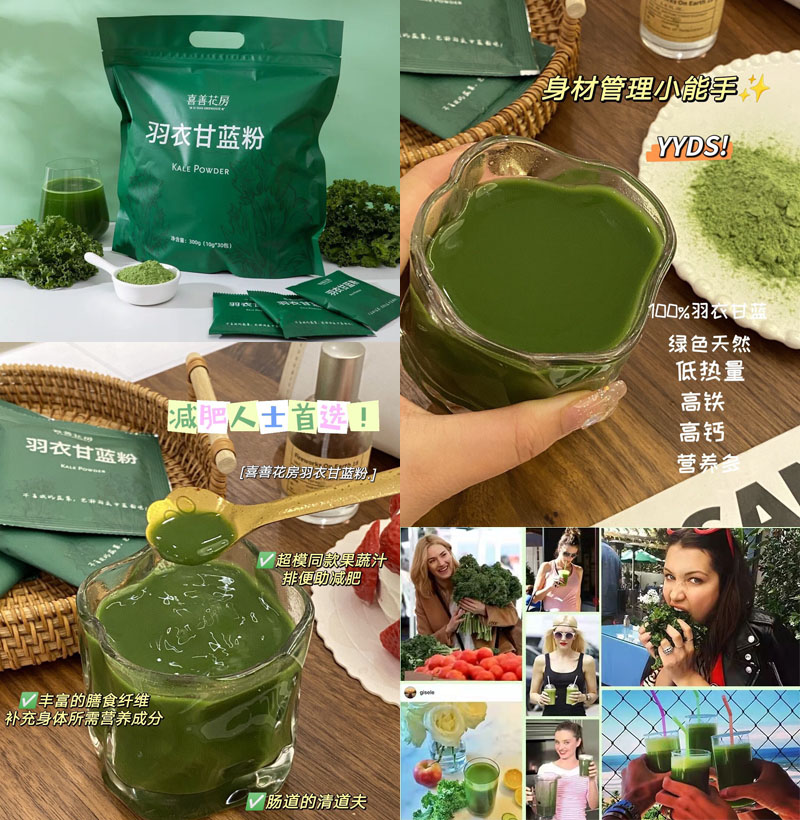 喜善花房羽衣甘蓝粉20230131