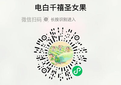电白沙地千禧圣女果20230201/果然
