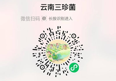 云南三珍菌20230207/果然