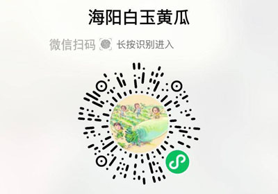 山东海阳白玉黄瓜20230213/果然