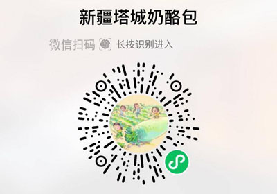 新疆塔城奶酪包20230214/果然