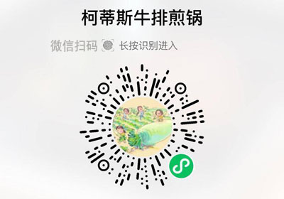 德铂Debo柯蒂斯不粘牛排煎锅20230215/果然