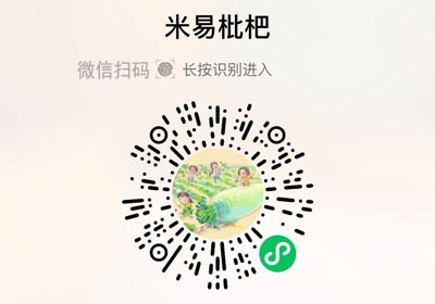 攀枝花米易枇杷20220214/果然