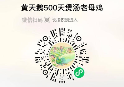 黄天鹅500天煲汤老母鸡20230222/果然