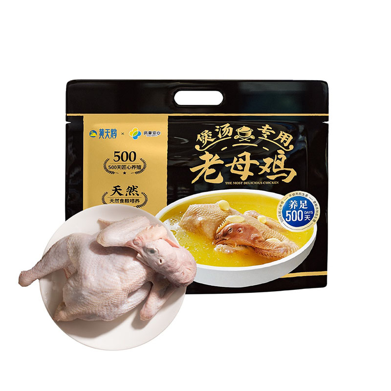 黄天鹅500天煲汤老母鸡20230222