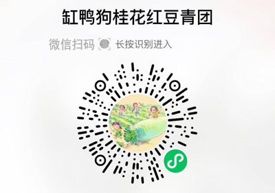 缸鸭狗桂花红豆青团20230223/果然