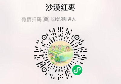 新疆和田沙漠红枣20230224/果然