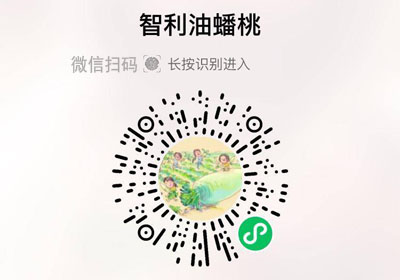 智利油蟠桃20230226/果然
