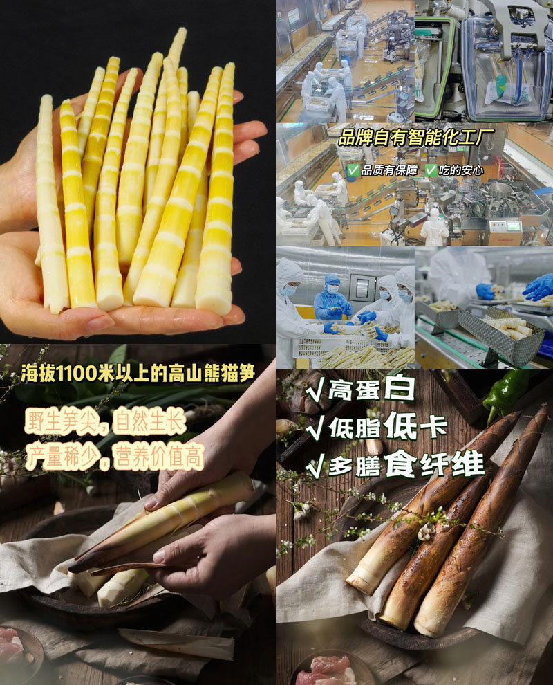 四川高山熊猫笋尖20230301