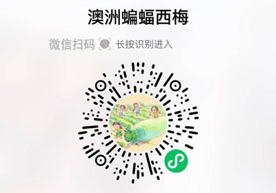 澳洲蝙蝠西梅20230305/果然