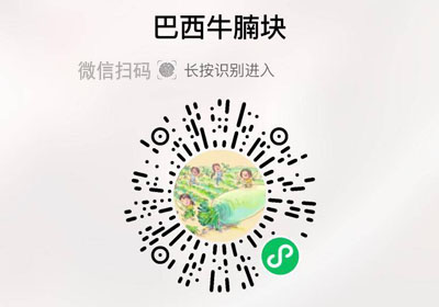 巴西草饲雪花牛腩块20230307/果然