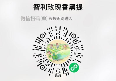 智利玫瑰香黑提20230314/果然