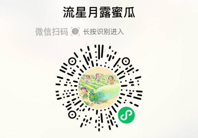 流星月露蜜瓜20230320/果然
