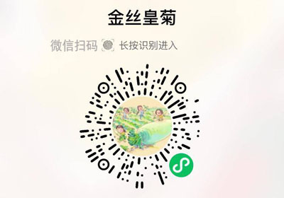 华佗济仁金丝皇菊20230323/果然