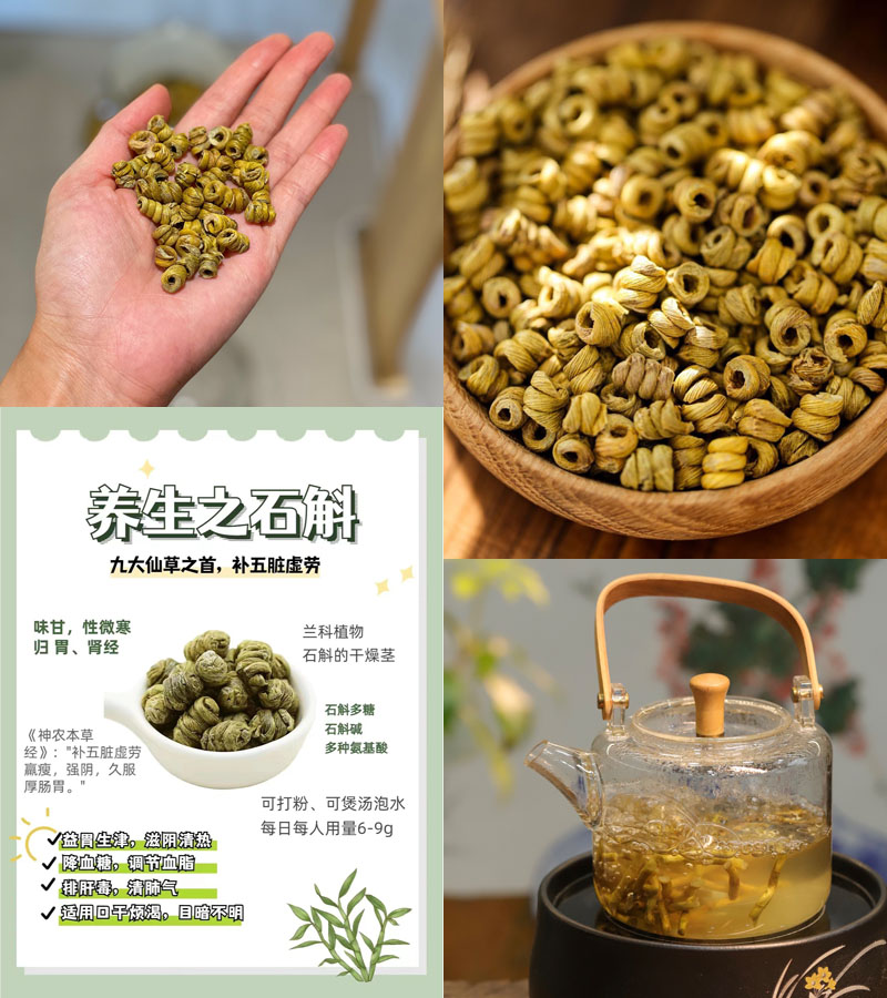 霍山铁皮石斛20230325