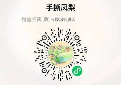 海南手撕凤梨20230327/果然