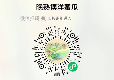 山东晚熟博洋蜜瓜20230329/果然