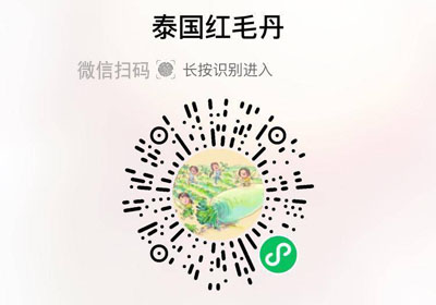 泰国红毛丹20230424/果然