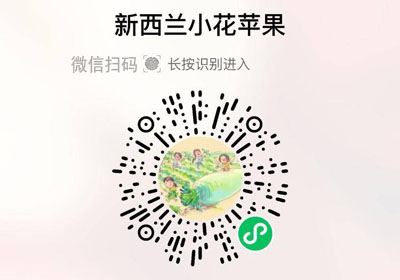 新西兰小花苹果20230424/果然