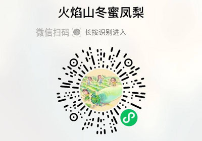 冬蜜凤梨20230416/果然