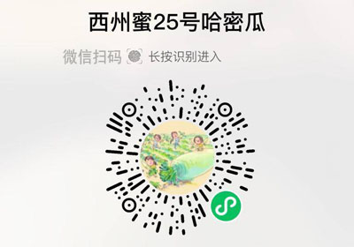 玥蜜西州蜜25号哈密瓜20230503/果然