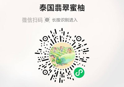 泰国翡翠蜜柚20230508/果然
