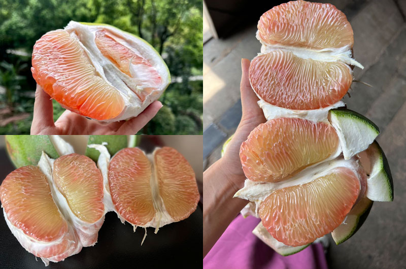 泰国翡翠蜜柚20230508