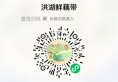 洪湖鲜藕带20230509/果然