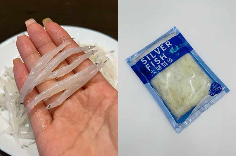 太湖银鱼20230512