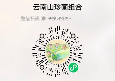 云南山珍菌组合20230517/果然