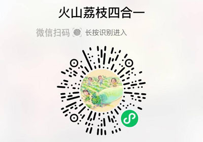 海南火山荔枝四合一20230531/果然