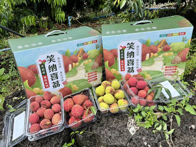 海南火山荔枝四合一20230531
