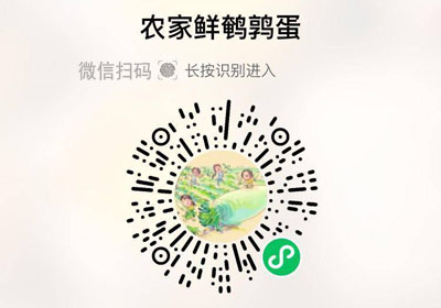 农家鲜鹌鹑蛋20230602/果然