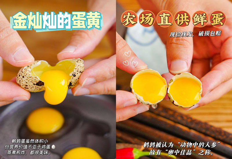 农家鲜鹌鹑蛋20230602