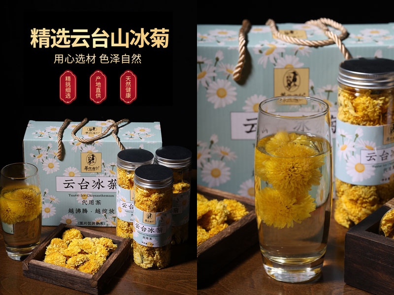华佗济仁云台冰菊20230704