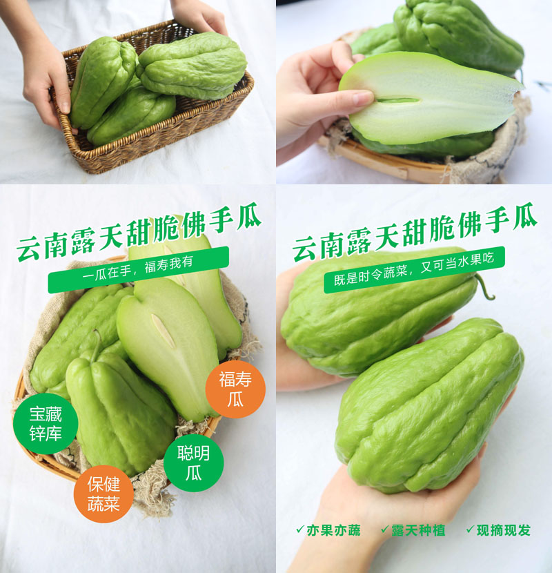 云南露天甜脆佛手瓜20230803