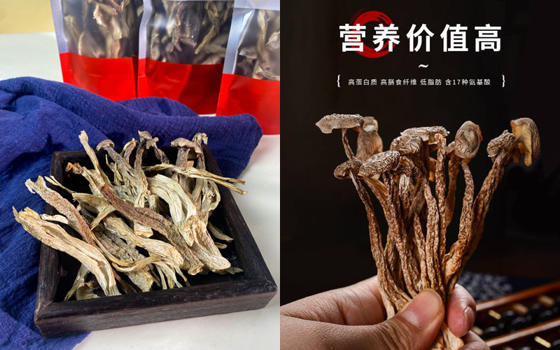 鹿茸菇丑菇20230824