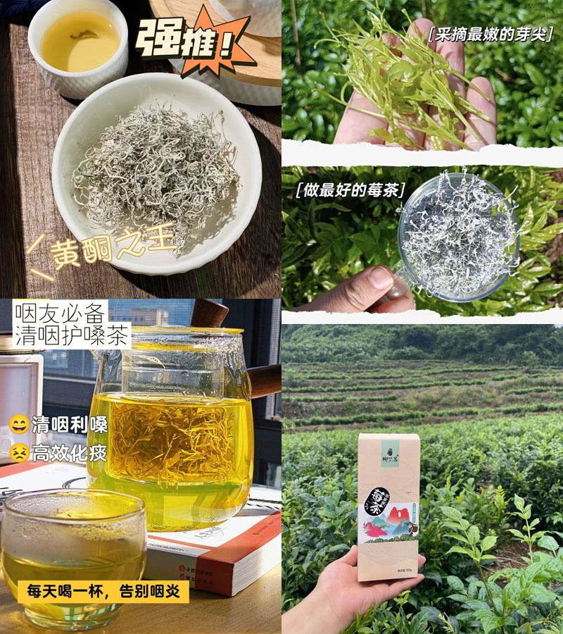 柳竺茗特级张家界莓茶20231010