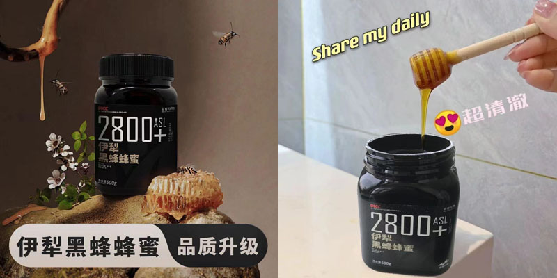 新疆伊犁黑蜂蜜20240723