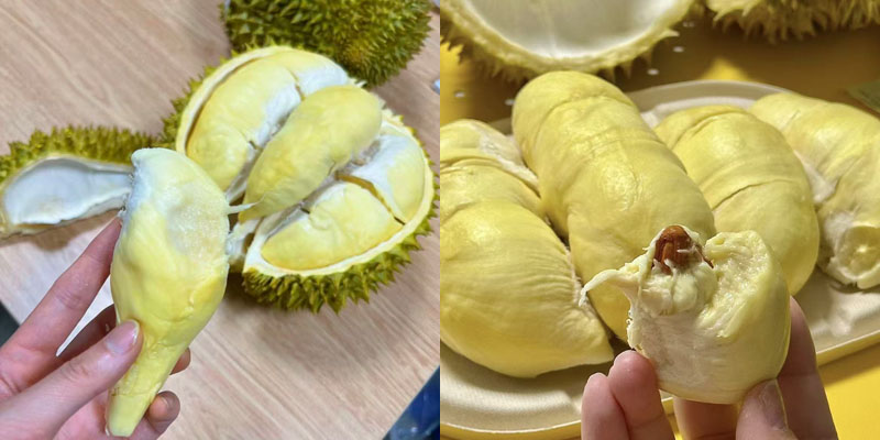 泰国金枕榴莲20250526