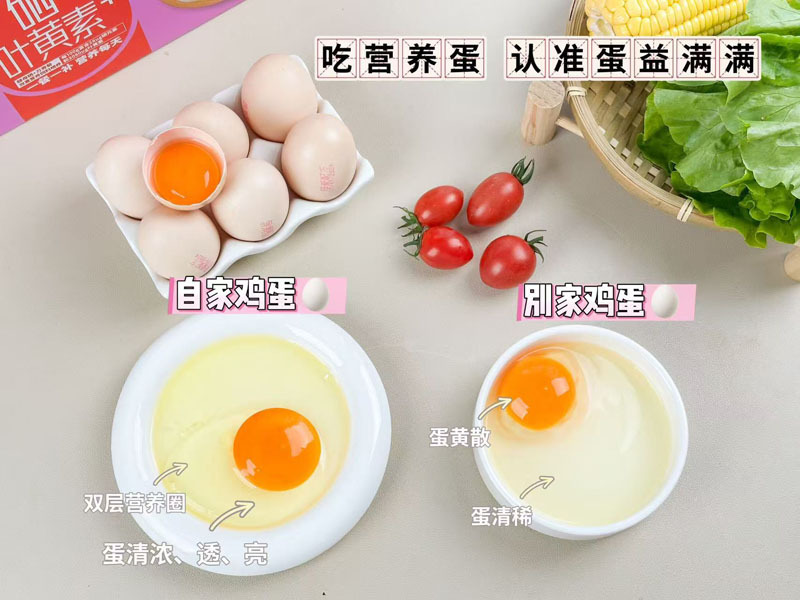 双倍营养可生食鸡蛋20250620